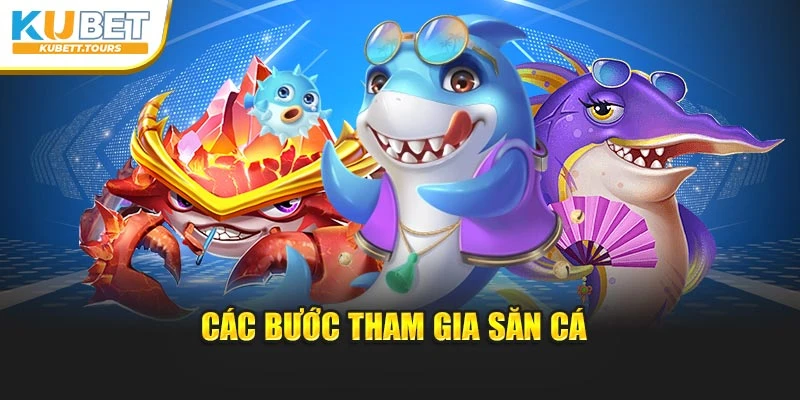 Các bước tham gia săn cá