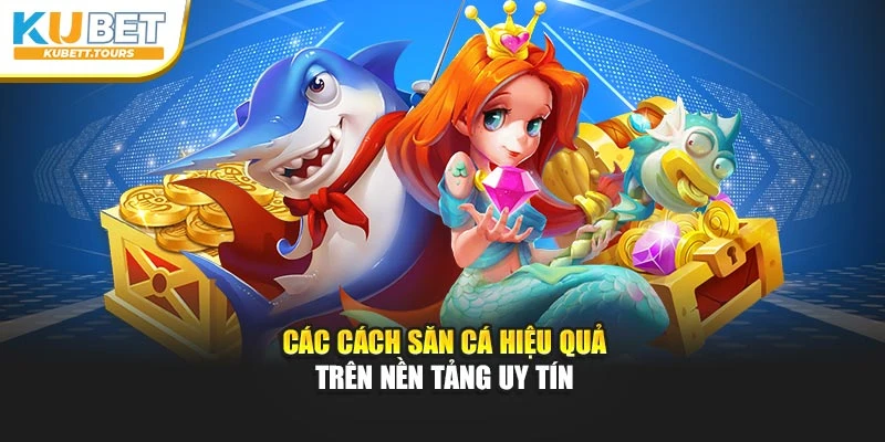 Các cách săn cá hiệu quả trên nền tảng uy tín