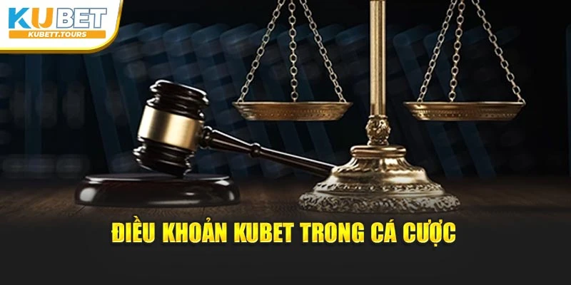Điều khoản Kubet trong cá cược